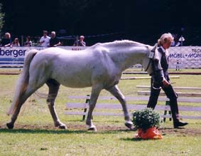 10 5 Skatholm Big Chief 2002-08 Foto Moertl 11