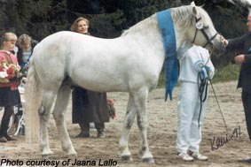 Ardnasillagh-O'Flaherty-blue