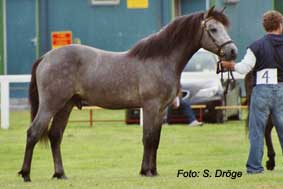 HazyKid_2005_ex-Proud-Native_1yo