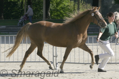 Kids-2005-Jolene-S_3yo_2250