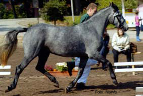 Noble Juliet 2003-09-12 Foto MaWe 37