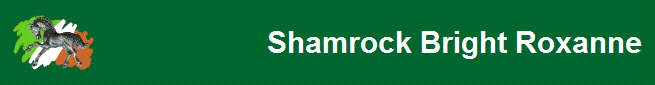 Shamrock Bright Roxanne 